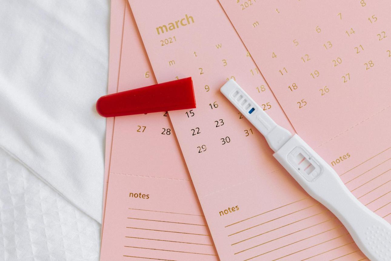 Can NAD+ Boost Fertility? The Science Behind Mitochondria and Egg Quality